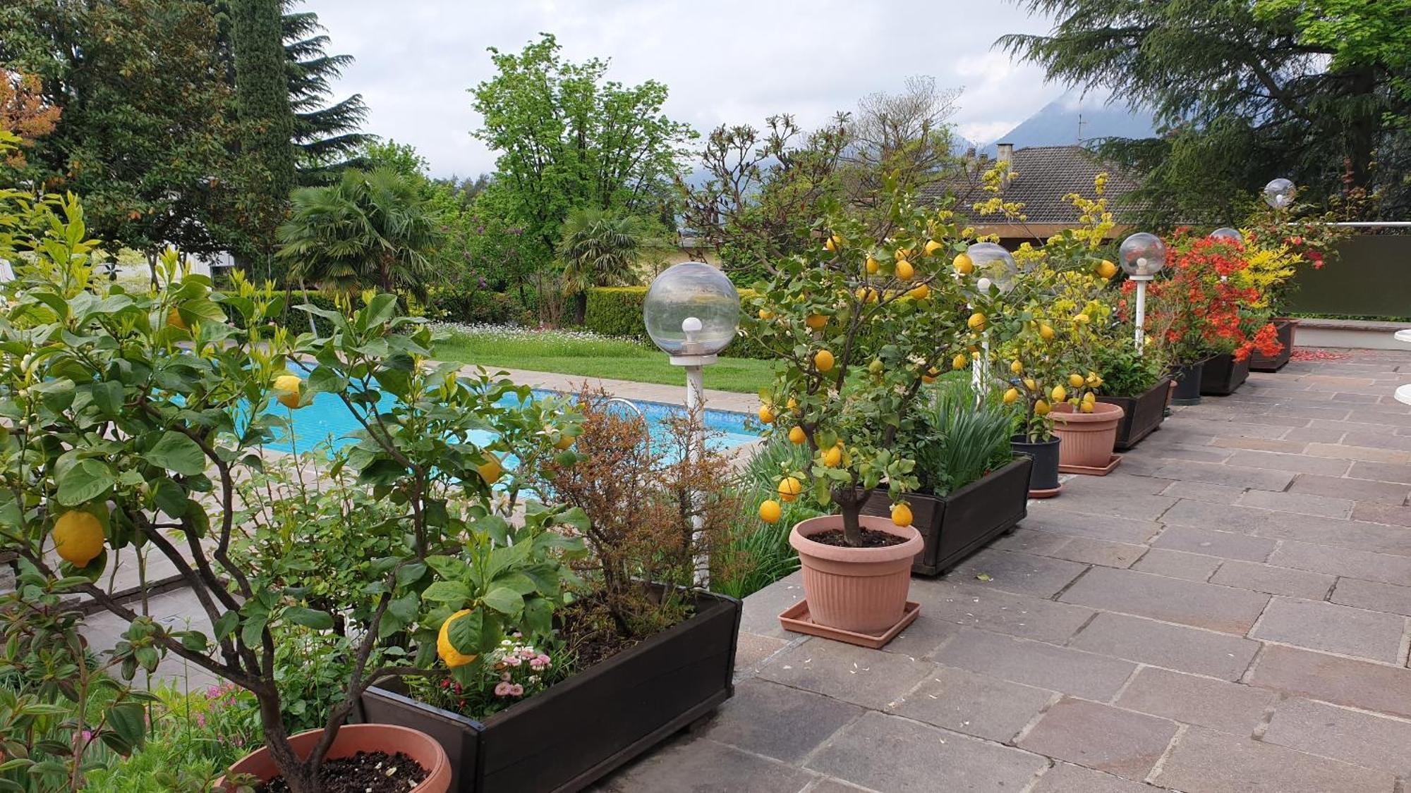 Hotel Tiffany Merano Dış mekan fotoğraf